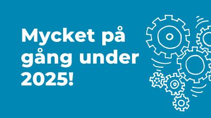 Verksamhetsplan 2025